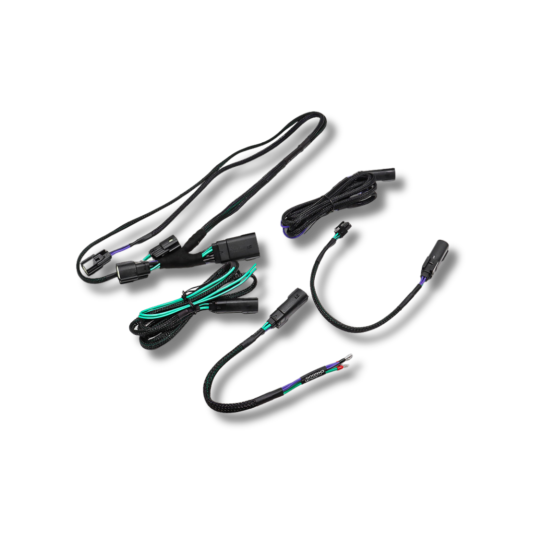 Cicada Audio 26HDRO — 2026 Harley-Davidson Rear Output Speaker Wire Harness