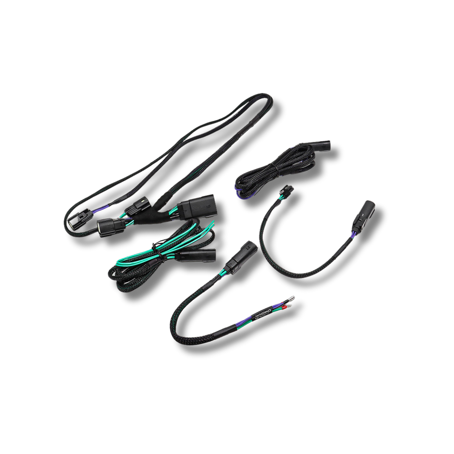 Cicada Audio 26HDRO – 2026 Harley-Davidson Rear Output Speaker Wire Harness
