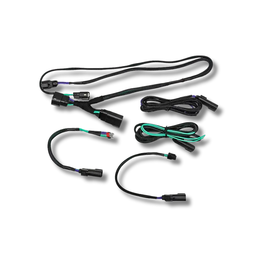 Cicada Audio 24HDRO 2024+ Harley Rear Output Speaker Wire Harness (Plug & Play)