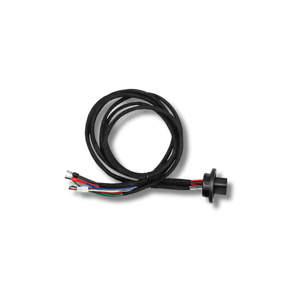 Cicada Audio 24HDMFH1 — H-D Saddlebag Amplifier Wiring Harness