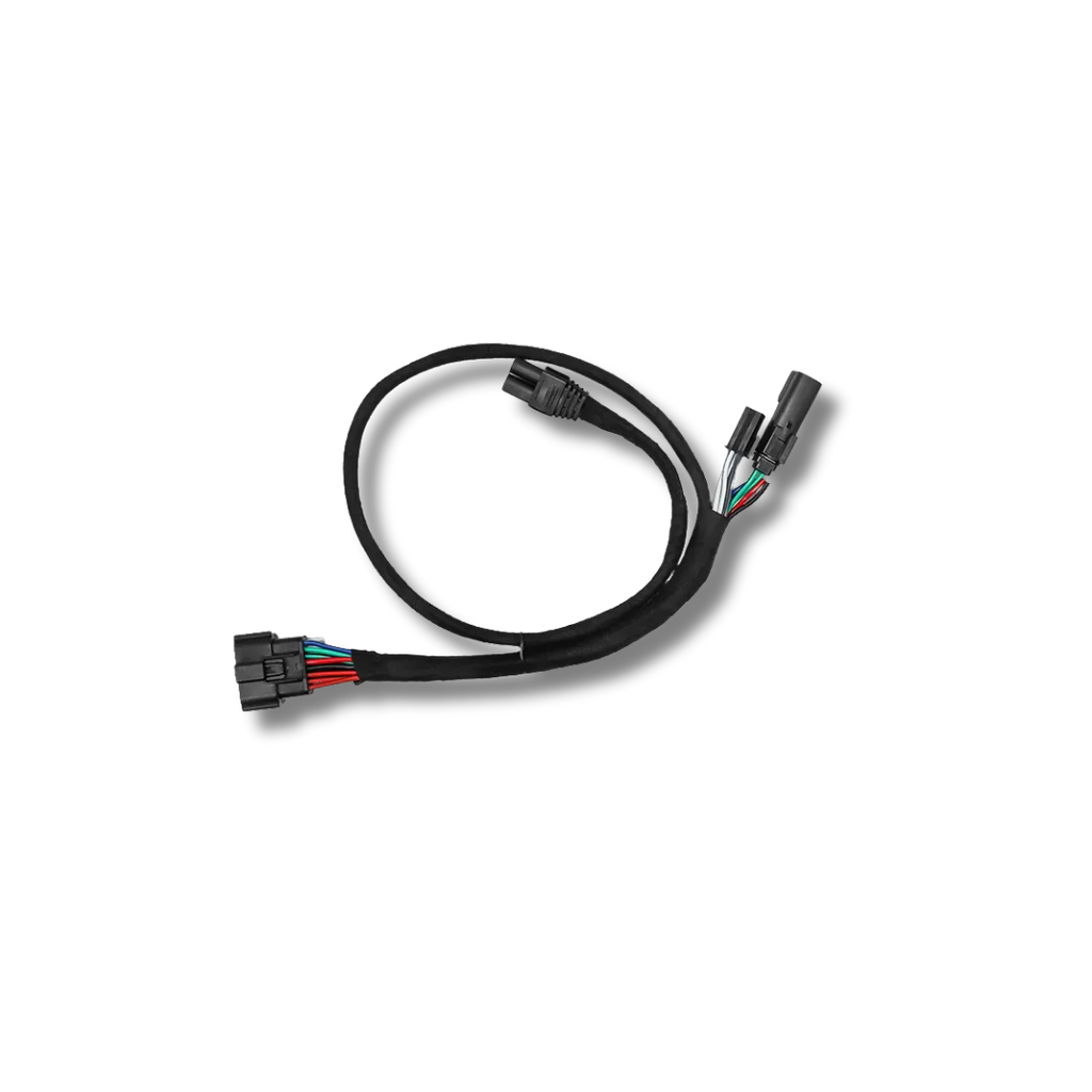 Cicada Audio 24HDMFH1 — H-D Saddlebag Amplifier Wiring Harness