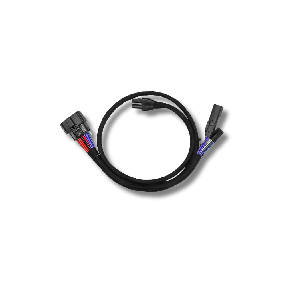 Cicada Audio 24HDMFH1 — H-D Saddlebag Amplifier Wiring Harness