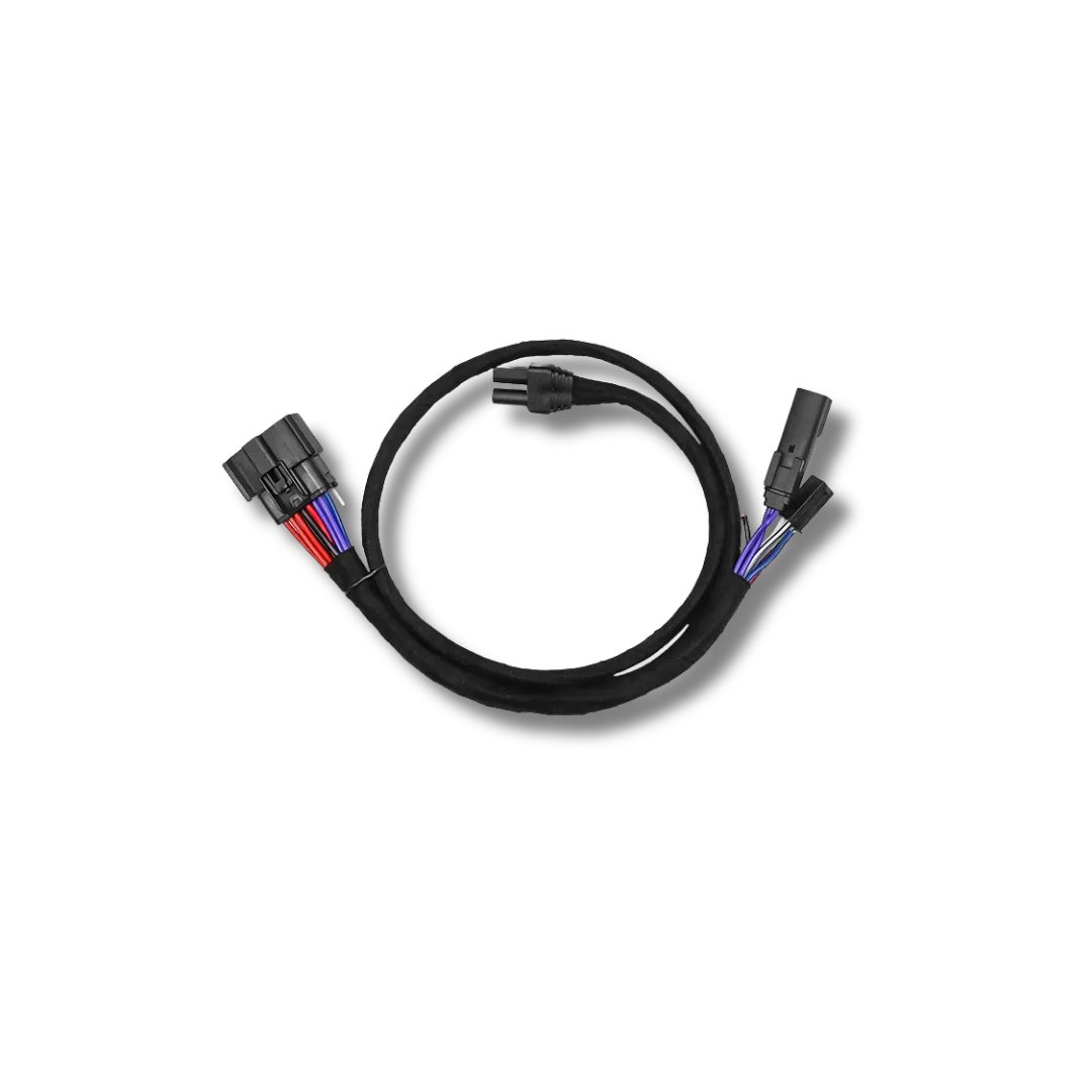 Cicada Audio 24HDMFH1 — H-D Saddlebag Amplifier Wiring Harness