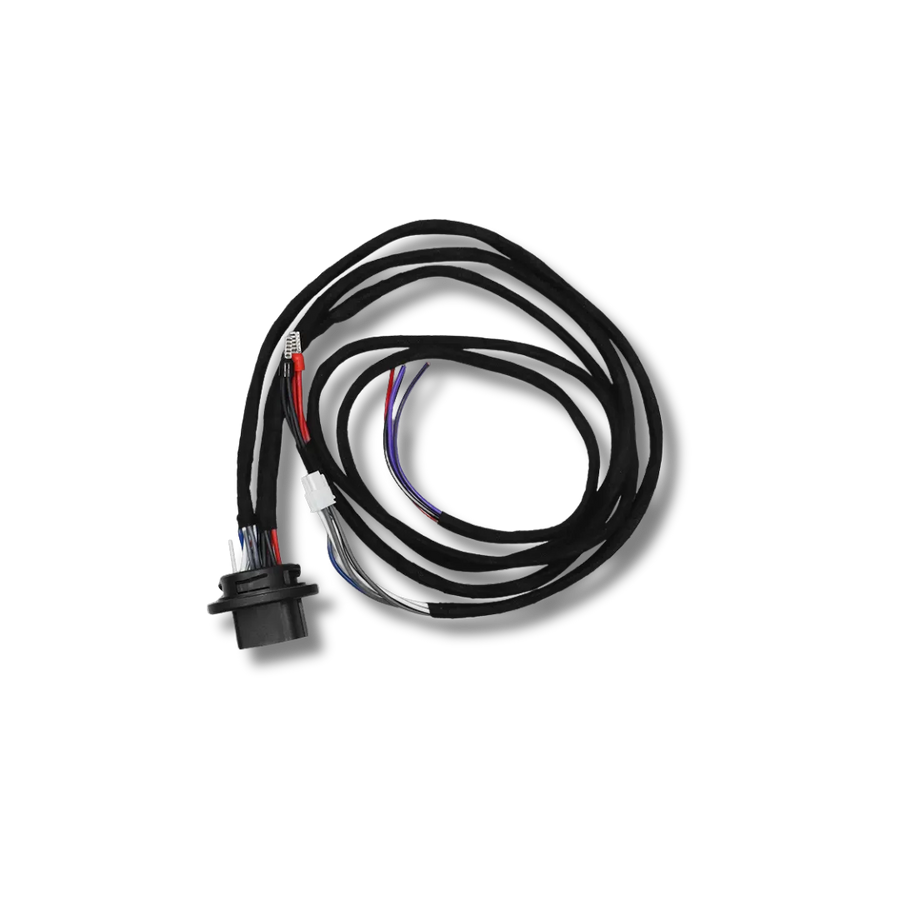 Cicada Audio 24HDMFH1 — H-D Saddlebag Amplifier Wiring Harness