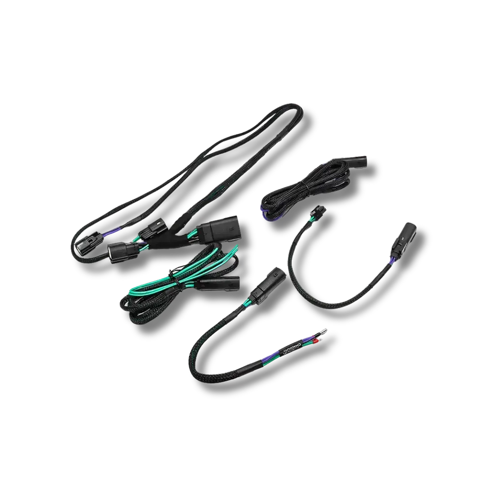 Cicada Audio 24HDRO 2024+ Harley Rear Output Speaker Wire Harness (Plug & Play)