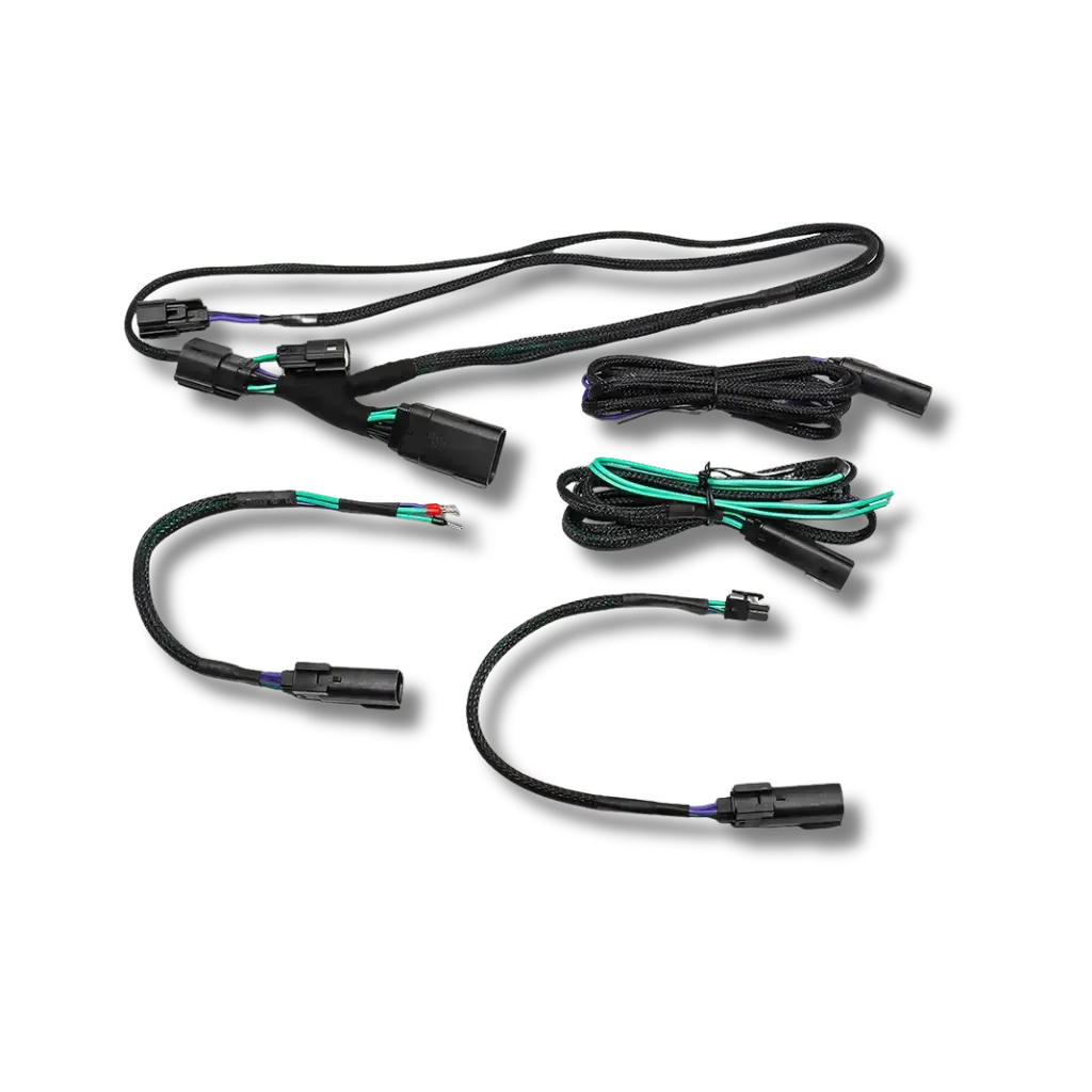 Cicada Audio 24HDRO 2024+ Harley Rear Output Speaker Wire Harness (Plug & Play)
